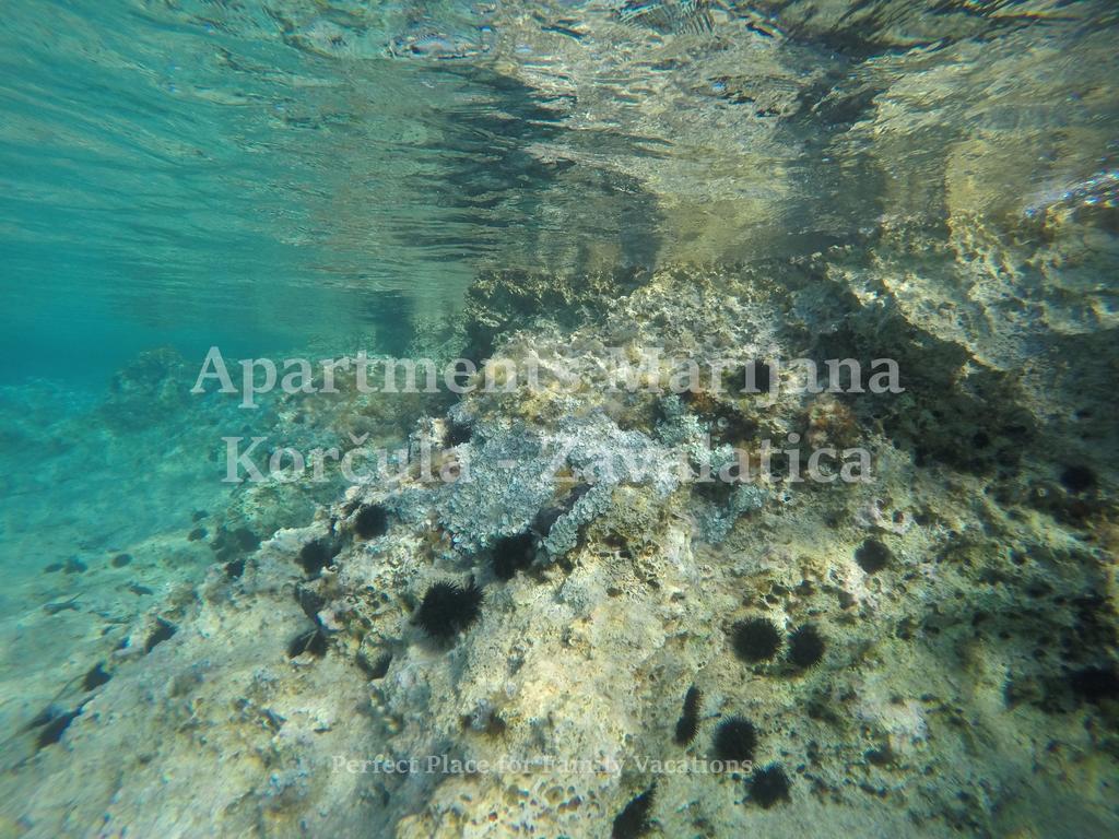 Apartments Marijana Завалатица Экстерьер фото